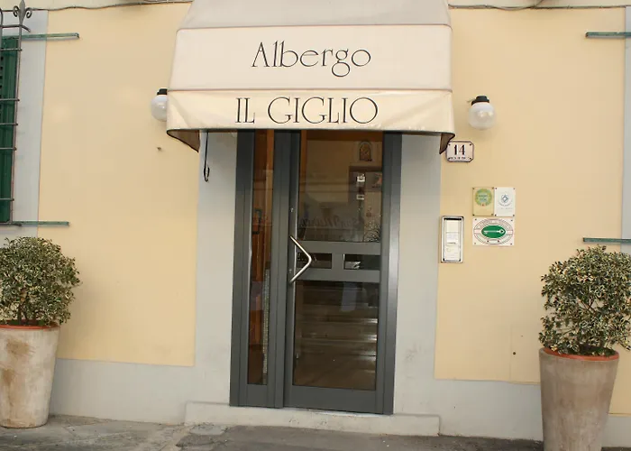  Il Giglio